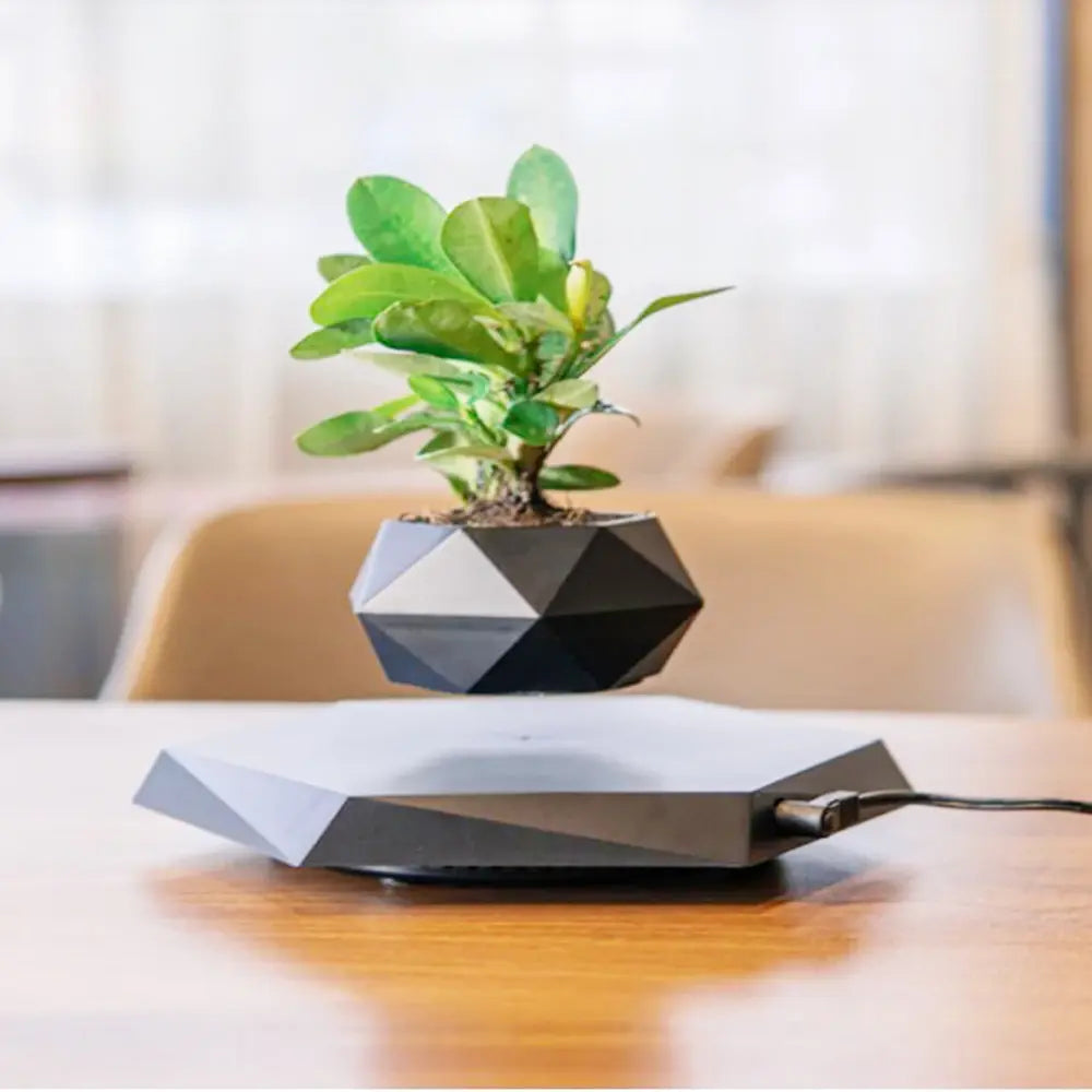 Magnetic Suspension Floating Plant Holder with 360° Rotation